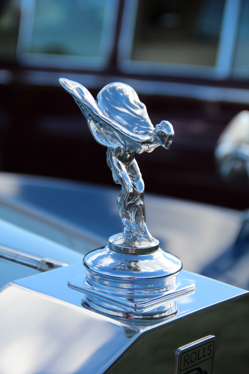 Illustration for article titled Car Spotting at the Virginia Gold Cup